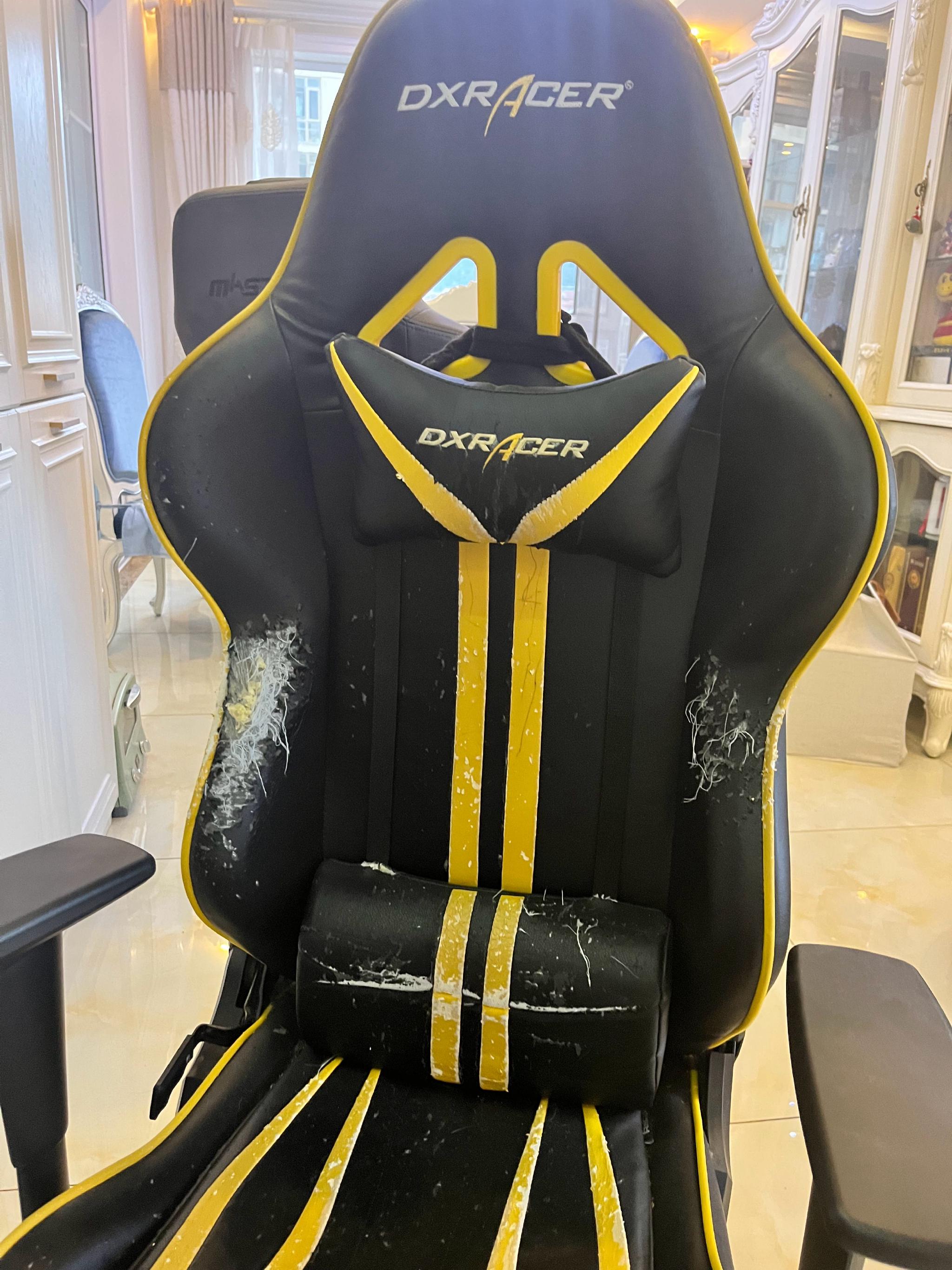 狗超终于决定把他的电竞椅扔了……休闲区蓝鸢梦想 - Www.slyday.coM