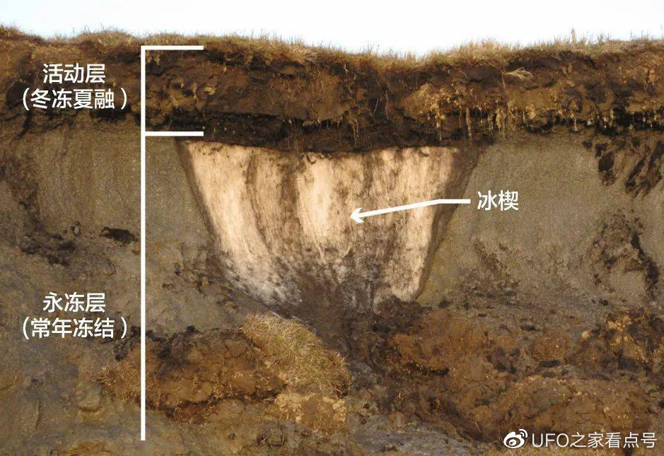 潘多拉魔盒已开启:冻土消融,炭疽传播,病毒复活,人类何去何从