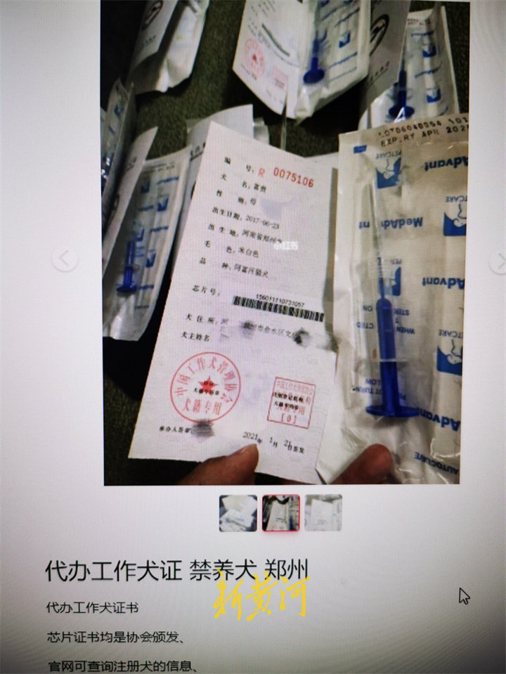 安阳“狗咬人”事件中工作犬证引关注,代办工作犬证背后藏黑产休闲区蓝鸢梦想 - Www.slyday.coM 安阳“狗咬人”事件中工作犬证引关注,代办工作犬证背后藏黑产休闲区蓝鸢梦想 - Www.slyday.coM