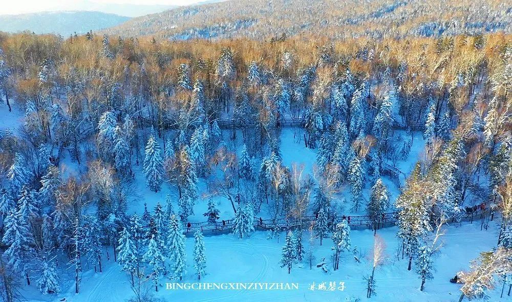 这里是中国冬天最美的公路,令人震撼的林海雪原童话王国!
