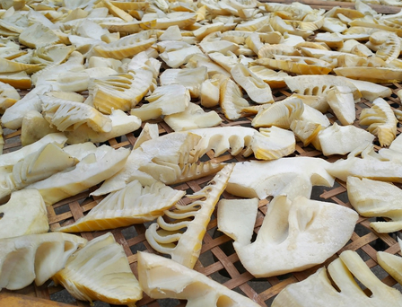 晒春笋不要直接晾晒记得多做2步笋干洁白美味久放不坏