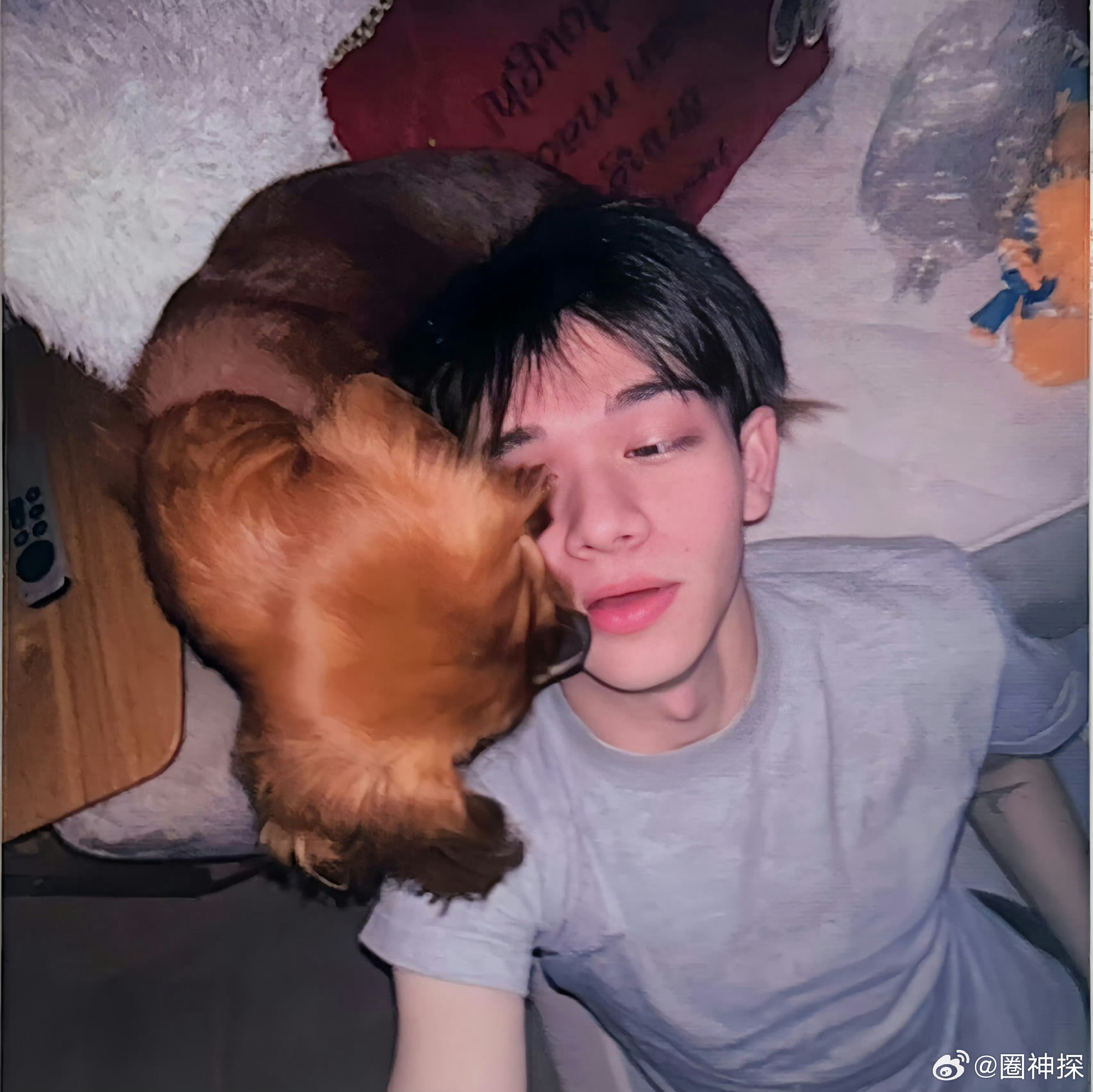 这个头像我真的用过庆怜这个脸可太适合做头像了