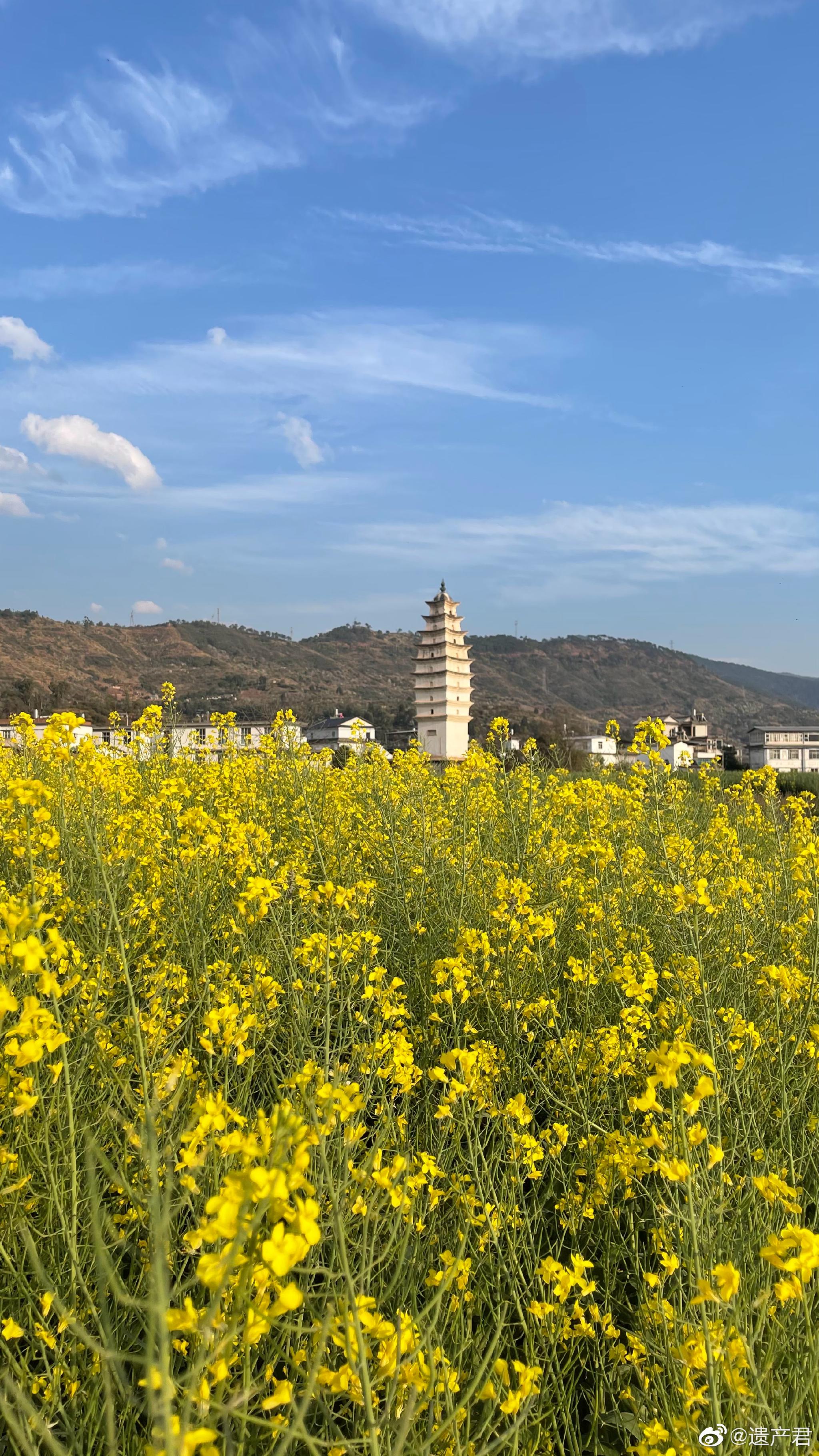 大理巍山古城外的文笔塔,就在田边,最近看到最美最有意趣的古塔_高清