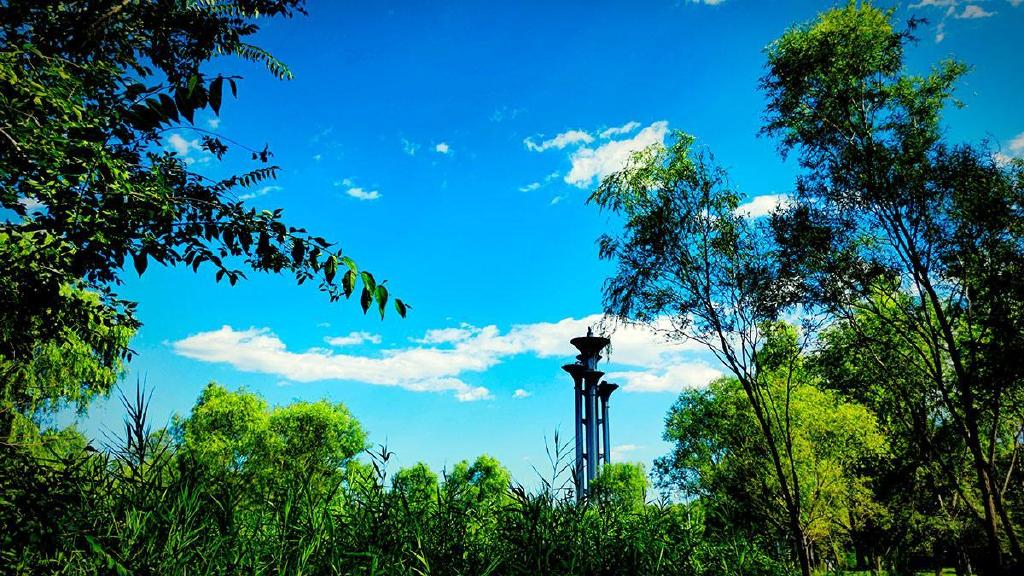 投石问路iqoo10pro镜头下的奥森公园美景