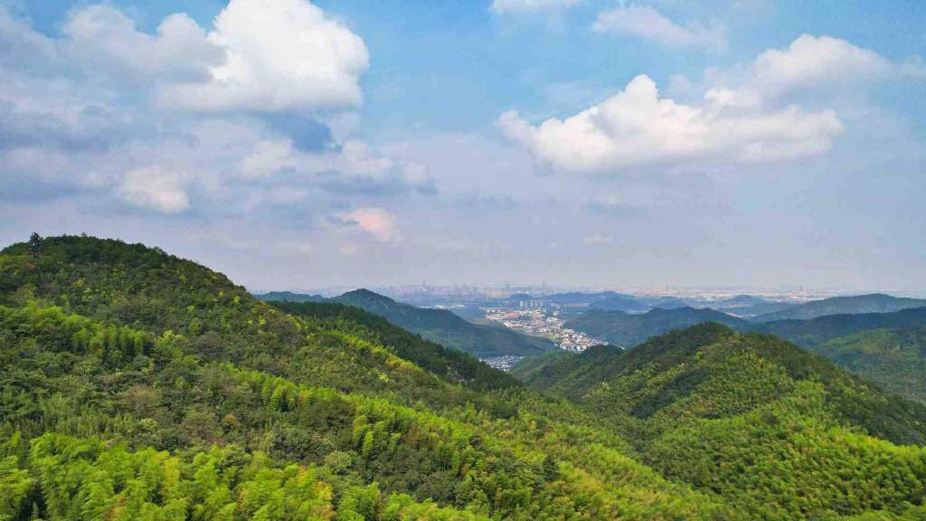 只因"空山聆竹韵,金钟掩梵音",位于绍兴的大香林风景区,就有了"空山