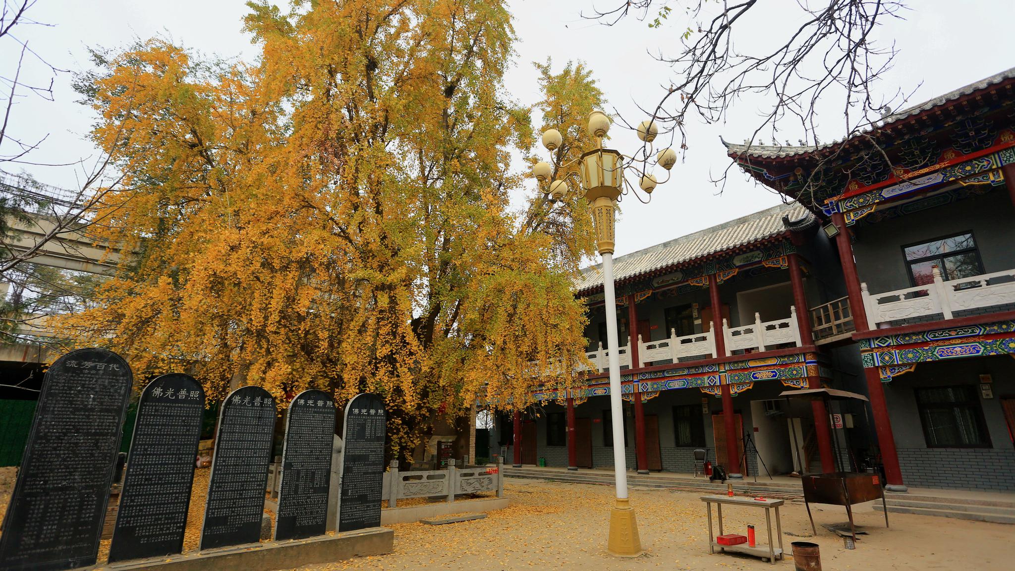 郑州法云寺_高清图集_新浪网