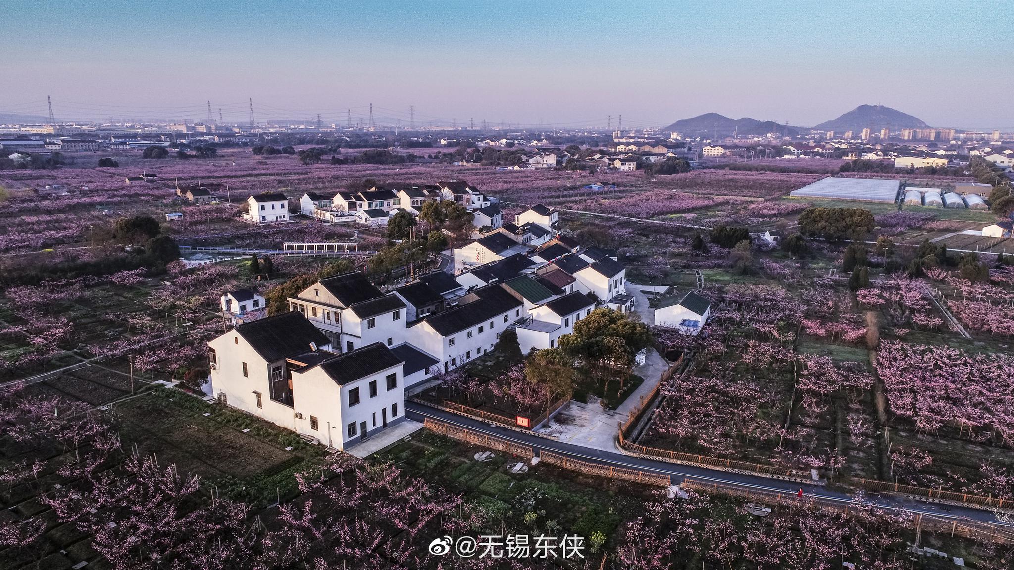 最美中国乡村,水蜜桃 之乡无锡阳山