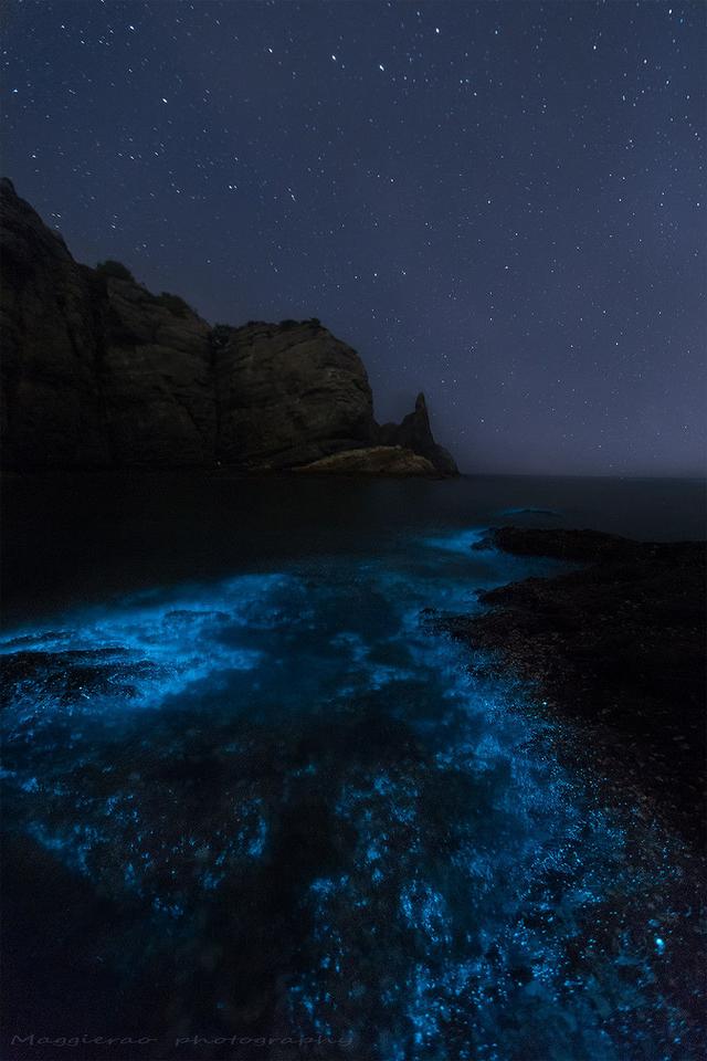 刷屏朋友圈的荧光海滩在这里梦幻蓝光如星辰坠落