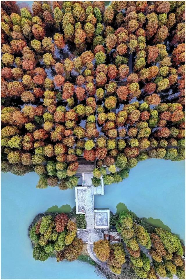 肇庆绝美“冬装”惊艳上线！错过了，就得再等一年……休闲区蓝鸢梦想 - Www.slyday.coM