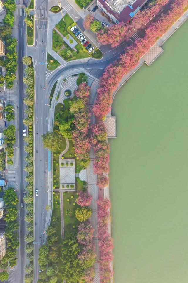 肇庆绝美“冬装”惊艳上线！错过了，就得再等一年……休闲区蓝鸢梦想 - Www.slyday.coM