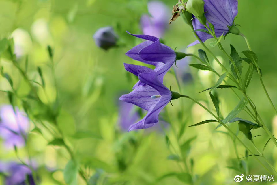 当一个男人真正对你动了情,不会直接说“我爱你”,但会有这3个变化休闲区蓝鸢梦想 - Www.slyday.coM 当一个男人真正对你动了情,不会直接说“我爱你”,但会有这3个变化休闲区蓝鸢梦想 - Www.slyday.coM