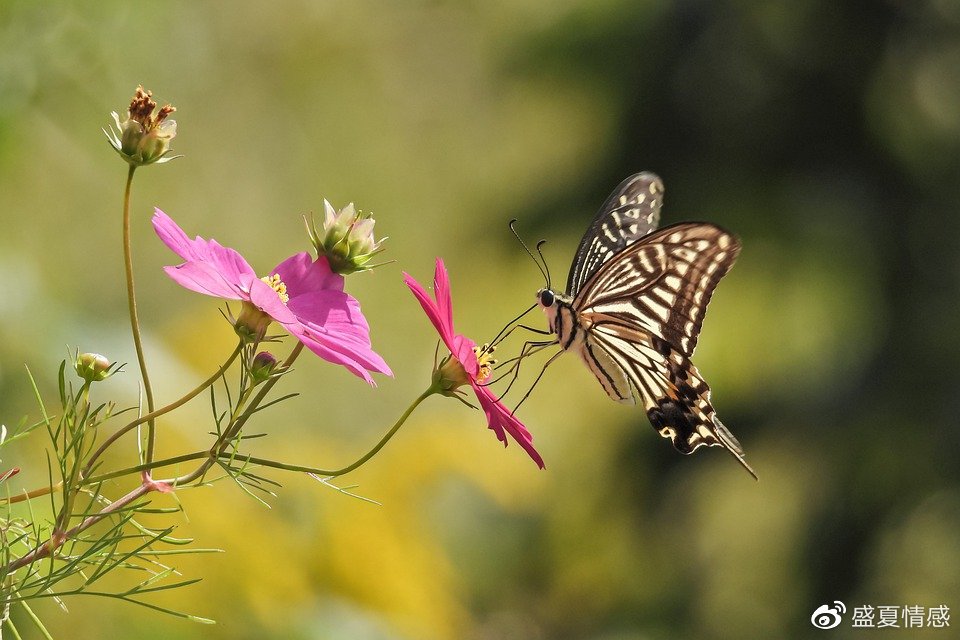 当一个男人真正对你动了情,不会直接说“我爱你”,但会有这3个变化休闲区蓝鸢梦想 - Www.slyday.coM 当一个男人真正对你动了情,不会直接说“我爱你”,但会有这3个变化休闲区蓝鸢梦想 - Www.slyday.coM