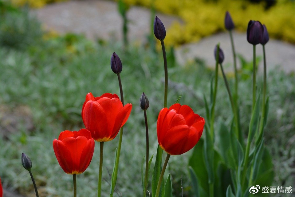 当一个男人真正对你动了情,不会直接说“我爱你”,但会有这3个变化休闲区蓝鸢梦想 - Www.slyday.coM 当一个男人真正对你动了情,不会直接说“我爱你”,但会有这3个变化休闲区蓝鸢梦想 - Www.slyday.coM