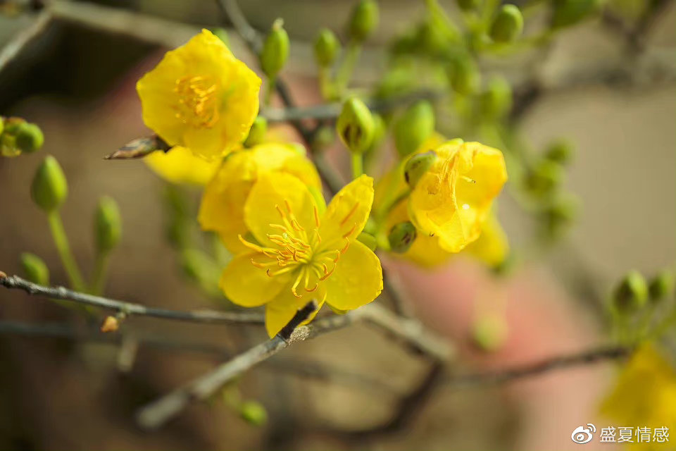 当一个男人真正对你动了情,不会直接说“我爱你”,但会有这3个变化休闲区蓝鸢梦想 - Www.slyday.coM 当一个男人真正对你动了情,不会直接说“我爱你”,但会有这3个变化休闲区蓝鸢梦想 - Www.slyday.coM