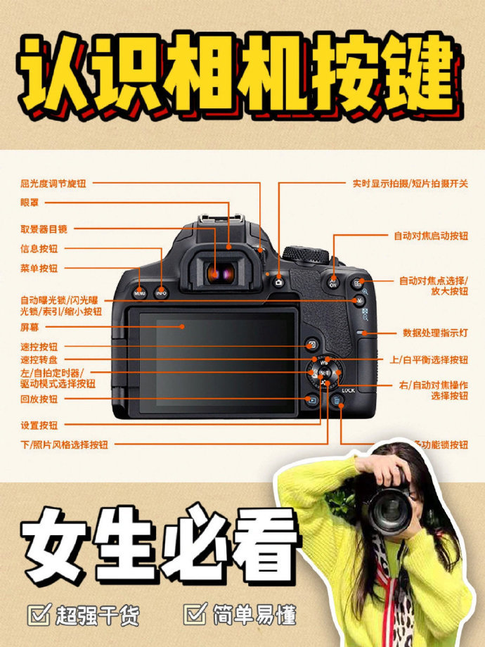 新手必学的稳定性训练