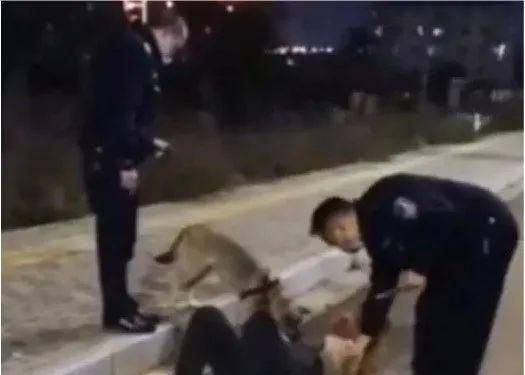 男子醉卧路边,两只狗狗分工守护:1只专盯手机,1只忧伤站岗……休闲区蓝鸢梦想 - Www.slyday.coM 男子醉卧路边,两只狗狗分工守护:1只专盯手机,1只忧伤站岗……休闲区蓝鸢梦想 - Www.slyday.coM