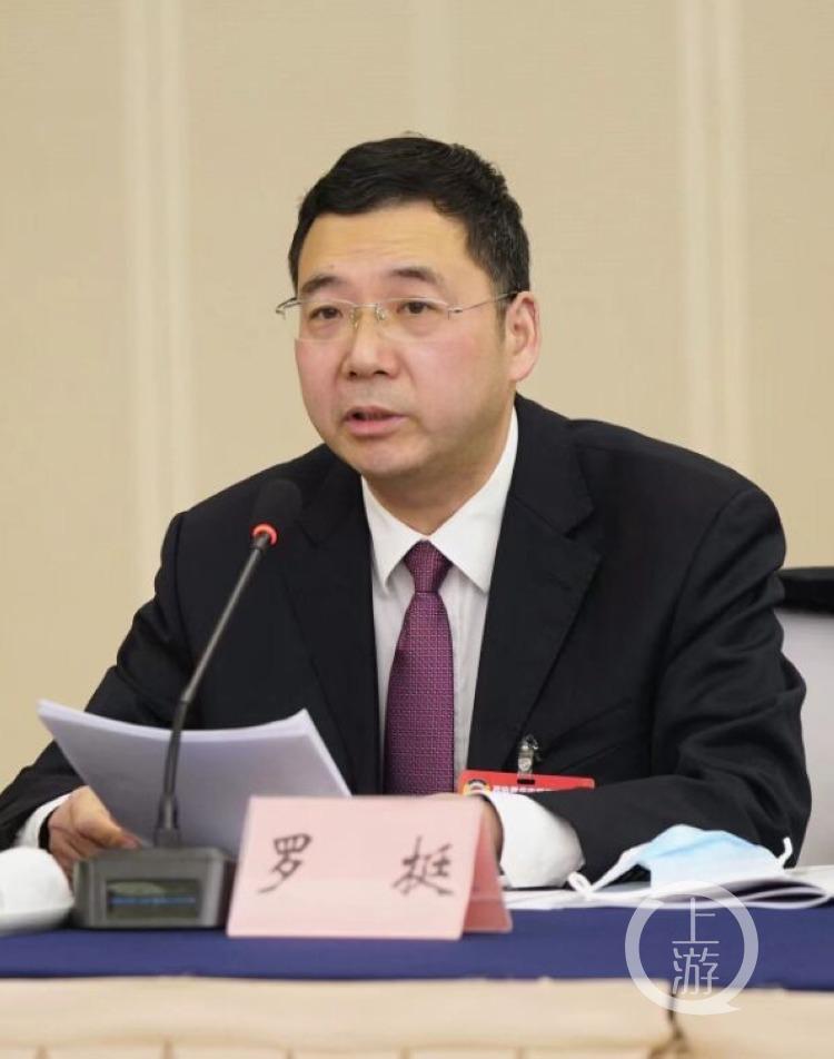 一号提案内容聚焦双碳建议七方面发力寻找突破口和发力点