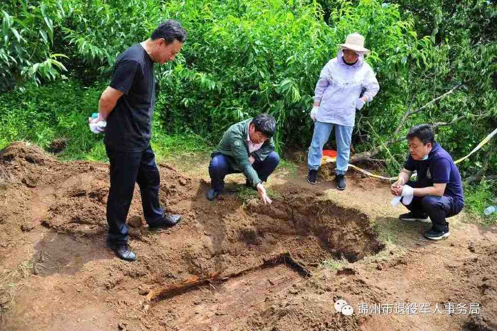锦州发掘东北野战军烈士遗骸15具,将于9月30日集中安葬休闲区蓝鸢梦想 - Www.slyday.coM 锦州发掘东北野战军烈士遗骸15具,将于9月30日集中安葬休闲区蓝鸢梦想 - Www.slyday.coM