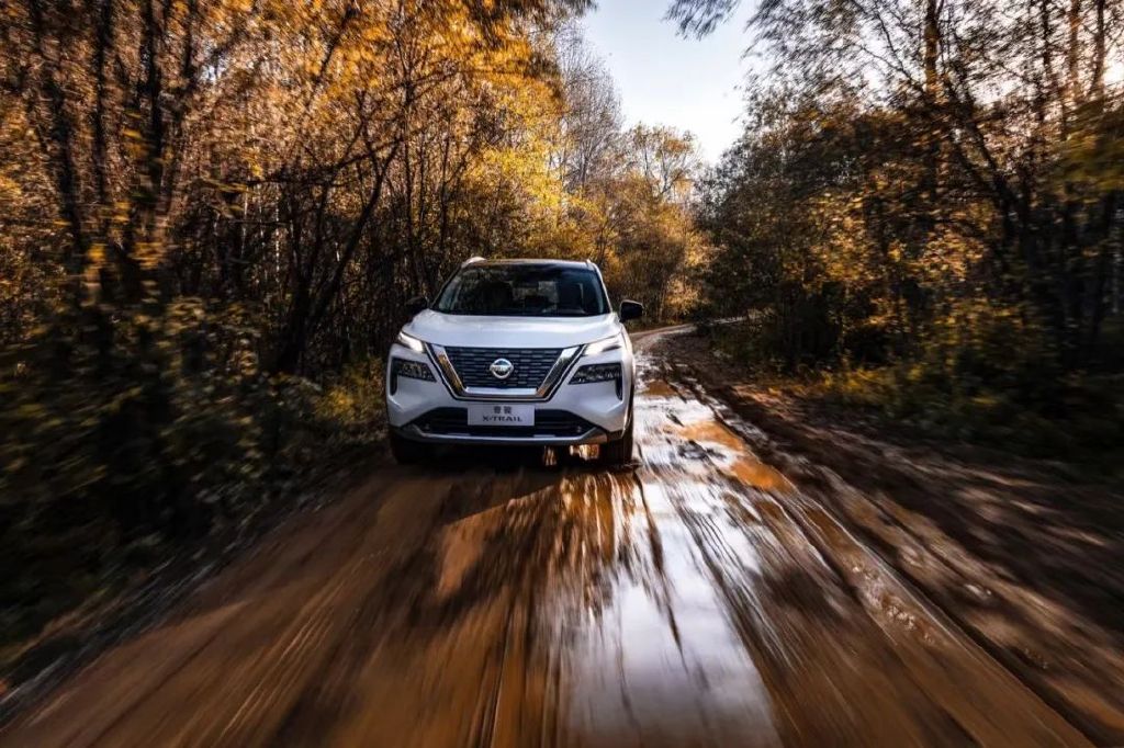 两天的护林员，奇骏是我最佳拍档休闲区蓝鸢梦想 - Www.slyday.coM