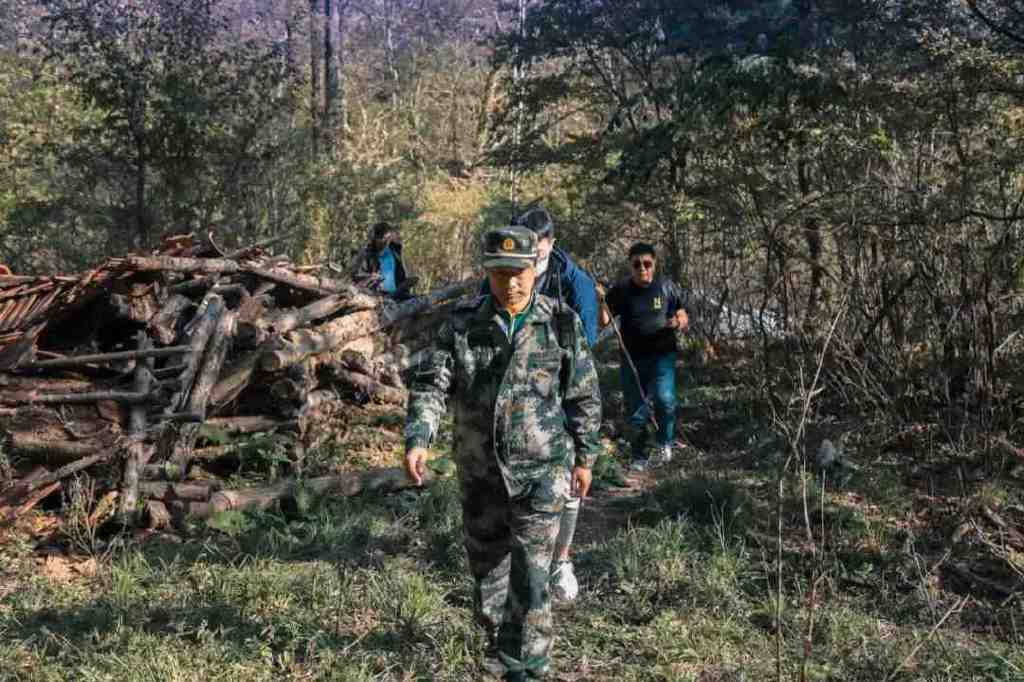 两天的护林员，奇骏是我最佳拍档休闲区蓝鸢梦想 - Www.slyday.coM