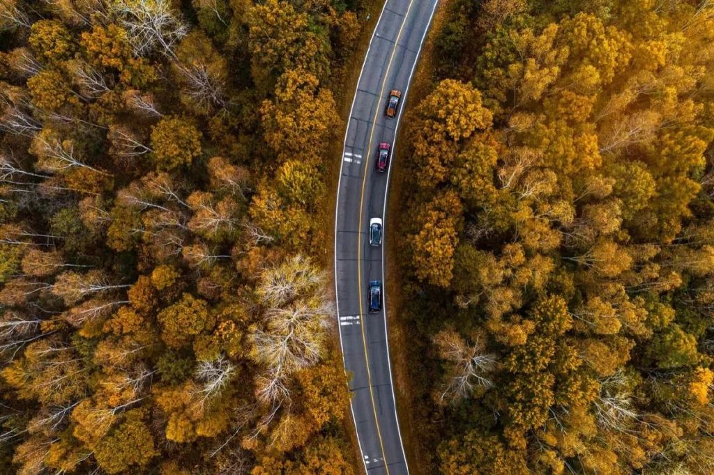 两天的护林员，奇骏是我最佳拍档休闲区蓝鸢梦想 - Www.slyday.coM