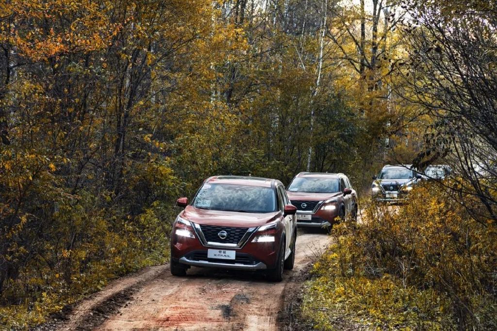 两天的护林员，奇骏是我最佳拍档休闲区蓝鸢梦想 - Www.slyday.coM