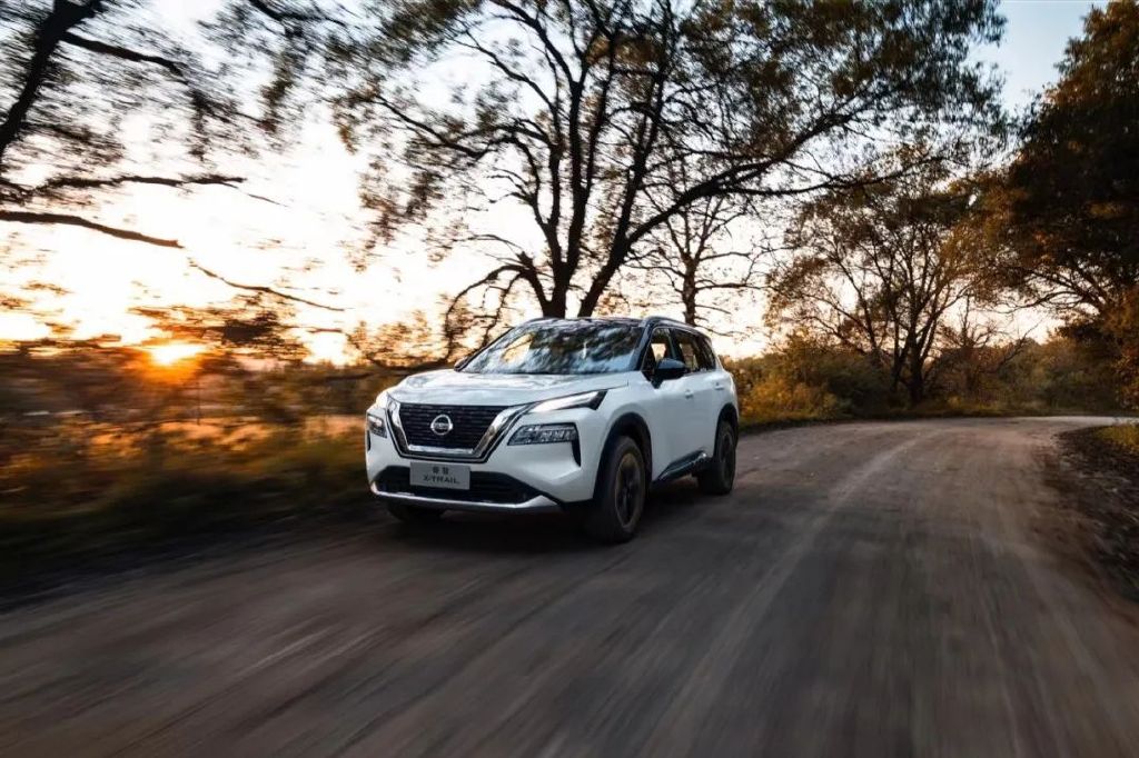 两天的护林员，奇骏是我最佳拍档休闲区蓝鸢梦想 - Www.slyday.coM