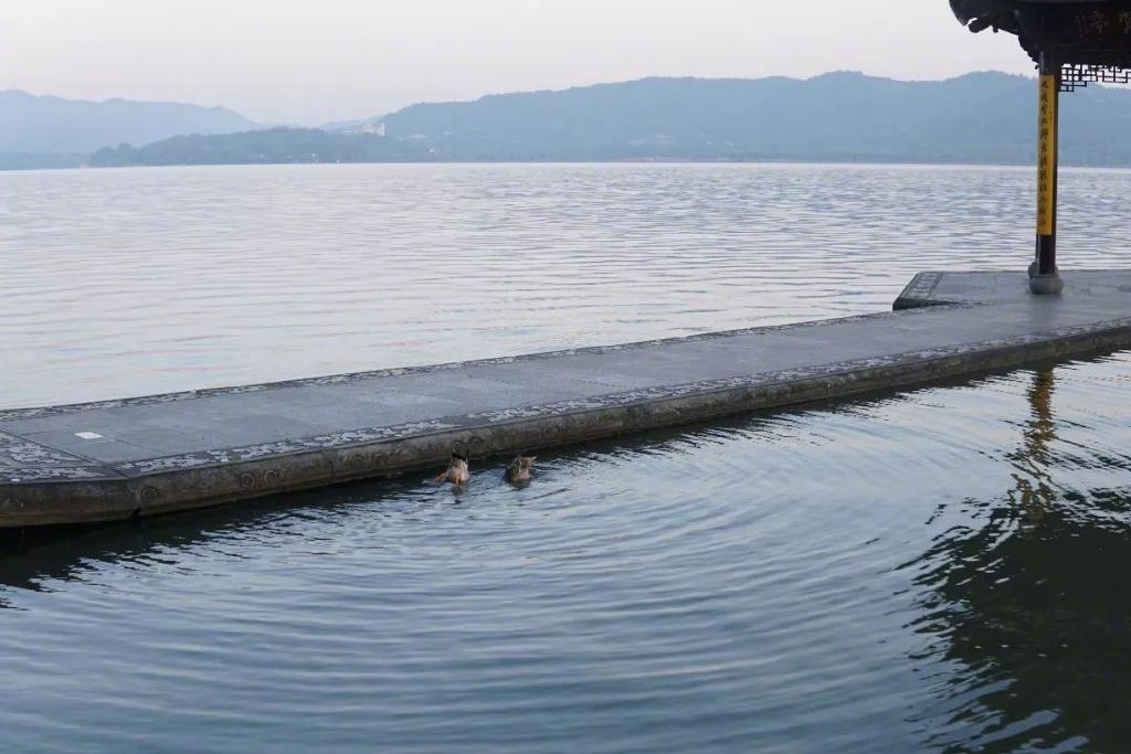 中国哪里最凉快看完这些清凉图我就不热了