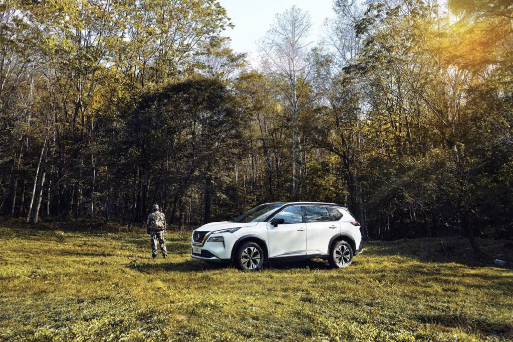 两天的护林员，奇骏是我最佳拍档休闲区蓝鸢梦想 - Www.slyday.coM