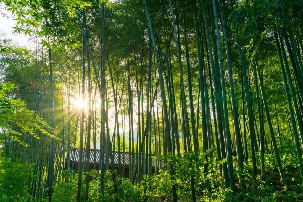 大部分中国人的生活被调成了火炉模式,几十年不遇的高温天气让凉爽