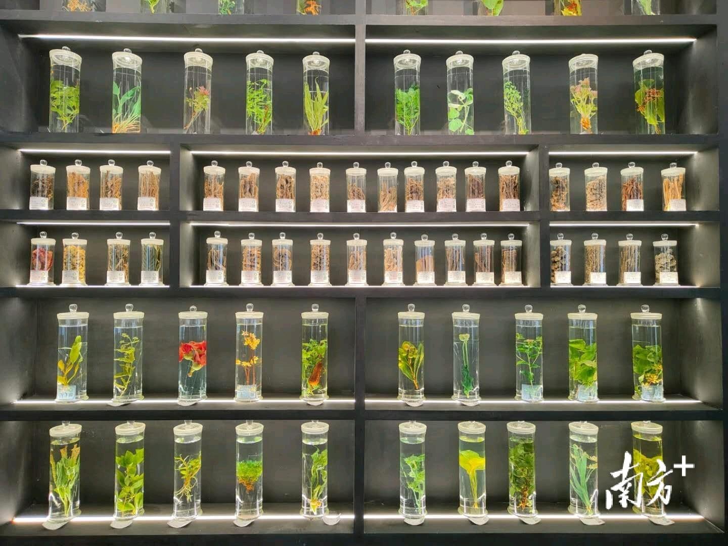 广东出台21条措施，加快国产替代、“卡脖子”等重点药品上市休闲区蓝鸢梦想 - Www.slyday.coM