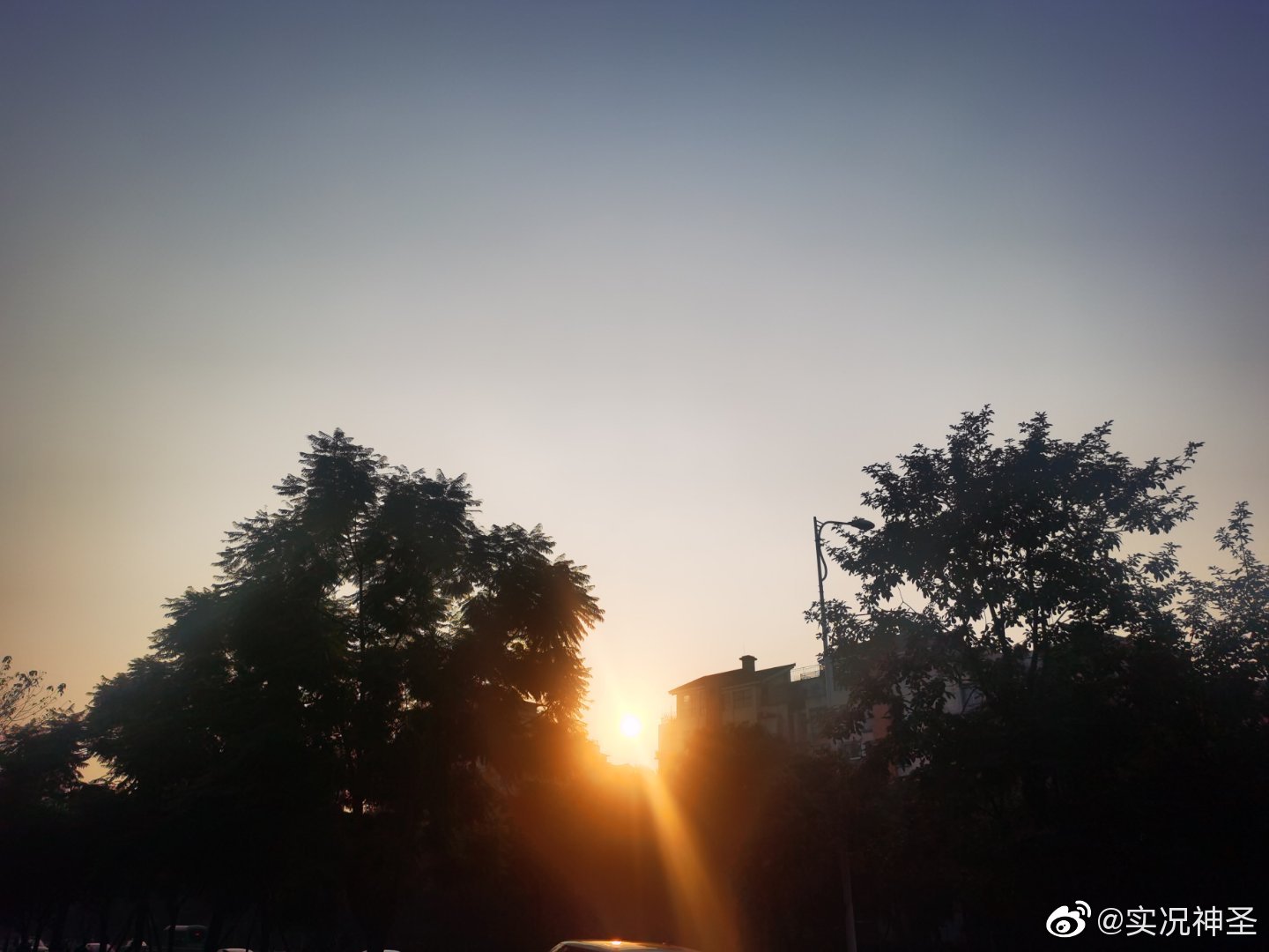 再分享一组照片特别喜欢晴天充满阳光正能量