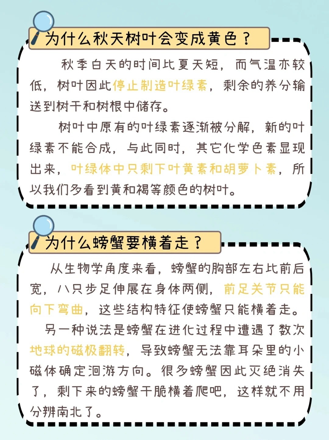 莞式三十六式全面解析：从初学到精通的实用攻略