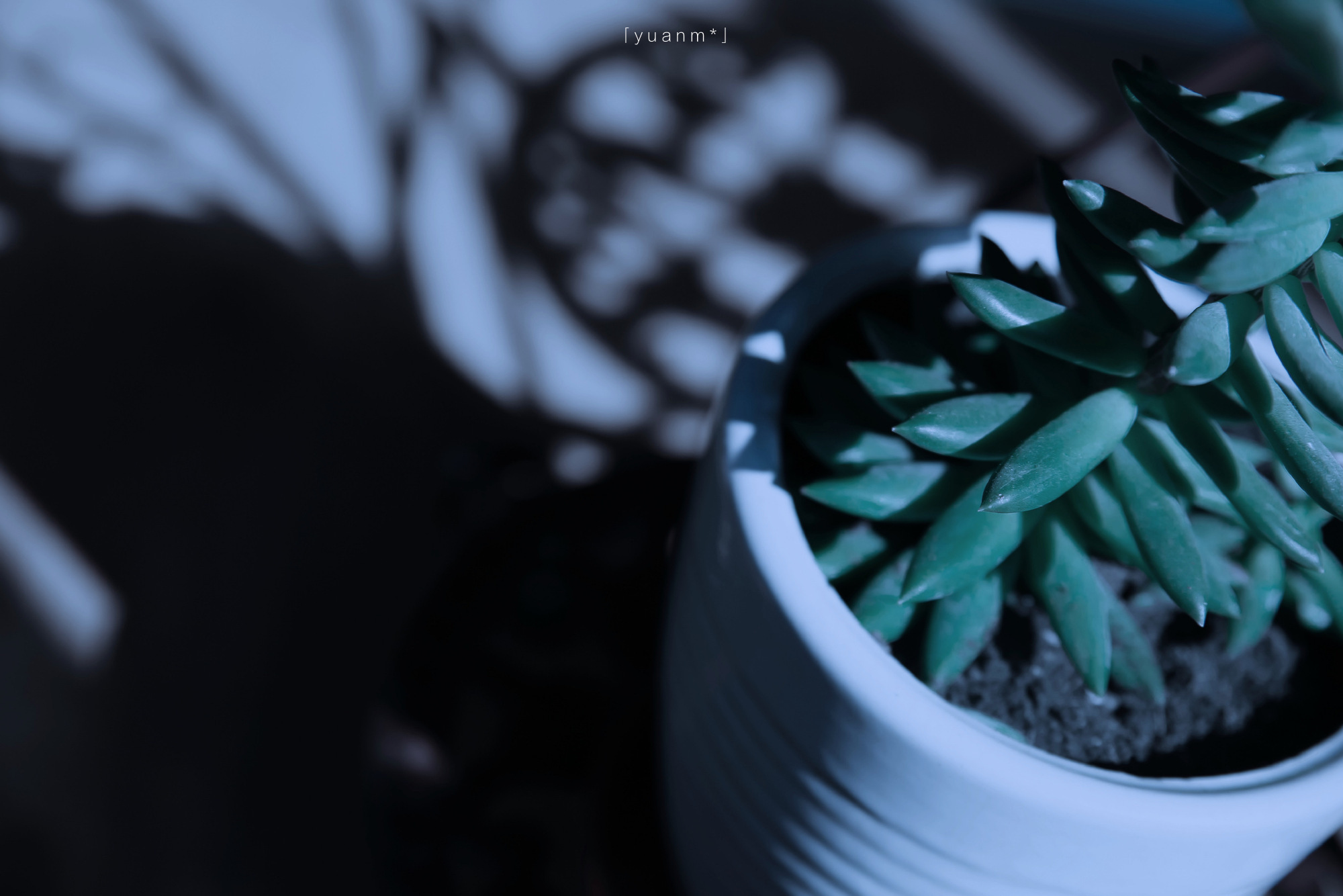 「 把春天沾著調色板上的顏料大口吃掉 摄影@Fantasyuanm