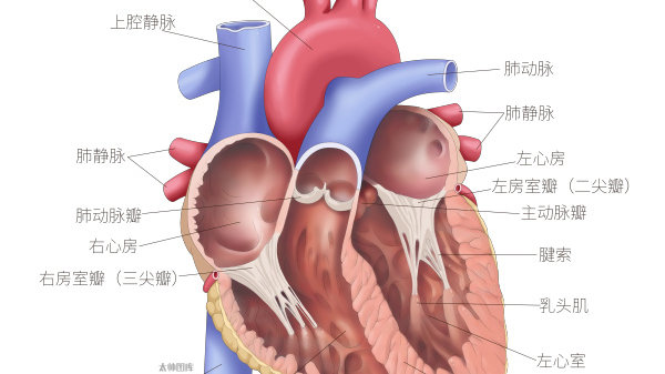 相思随你入心间免费阅读慕雅静