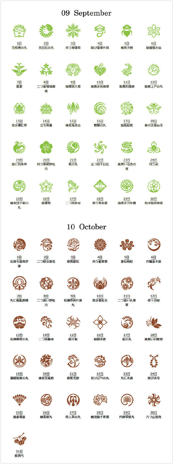 每个人都有生日花 快来查看下自己的花个纹吧 每个人都有生日花 快来查看下自己的花个纹吧