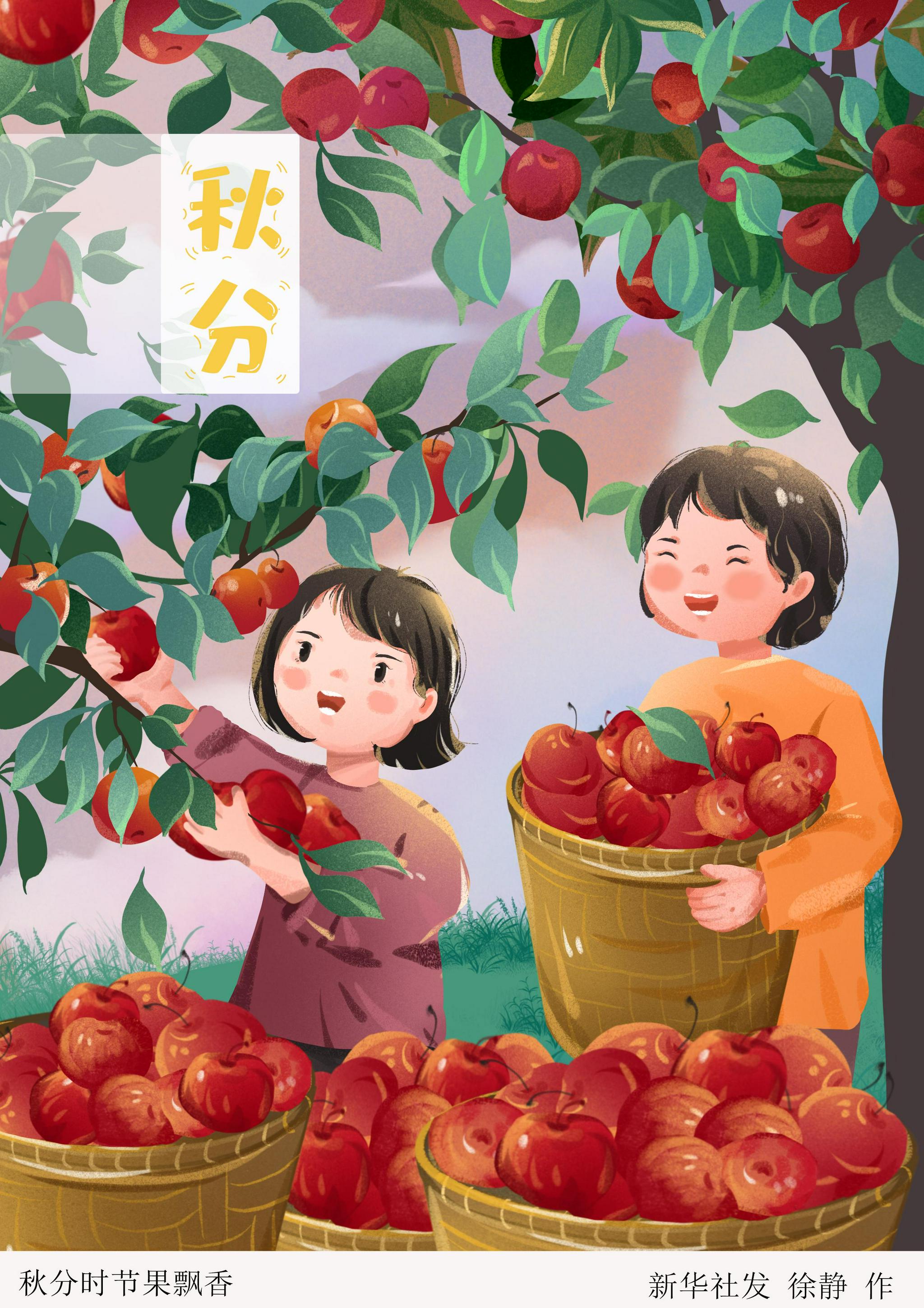 (图表·插画)【二十四节气·秋分】秋分时节果飘香