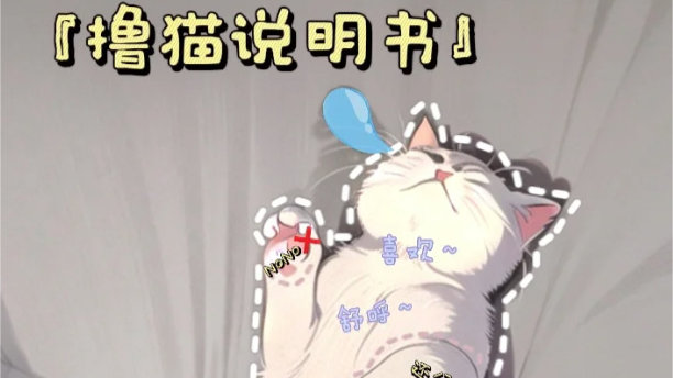 养猫必看！手把手教你如何正确撸猫|猫咪|猫|主子_新浪新闻
