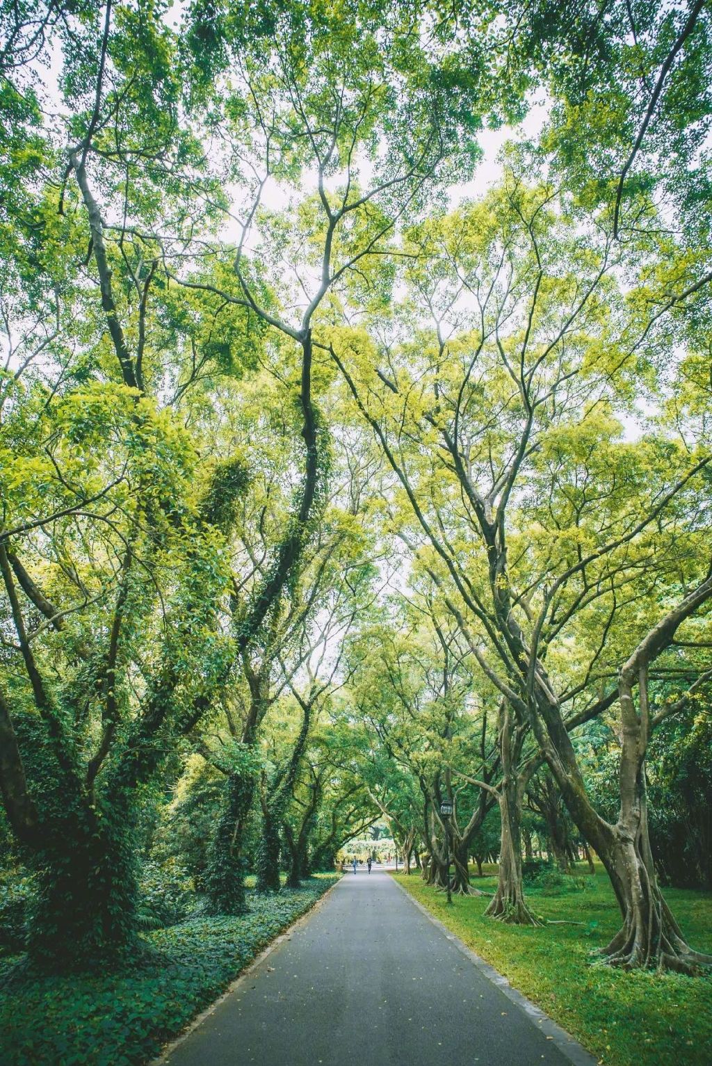 中国哪里最凉快看完这些清凉图我就不热了