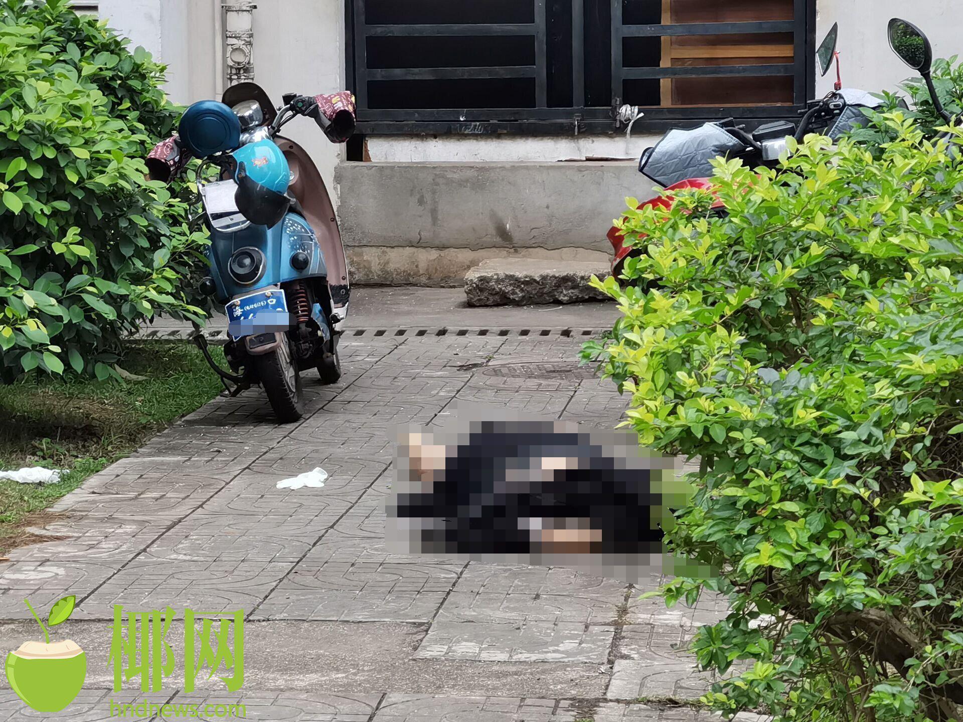 事发海口！一女子从小区顶楼坠楼身亡，警方介入调查休闲区蓝鸢梦想 - Www.slyday.coM