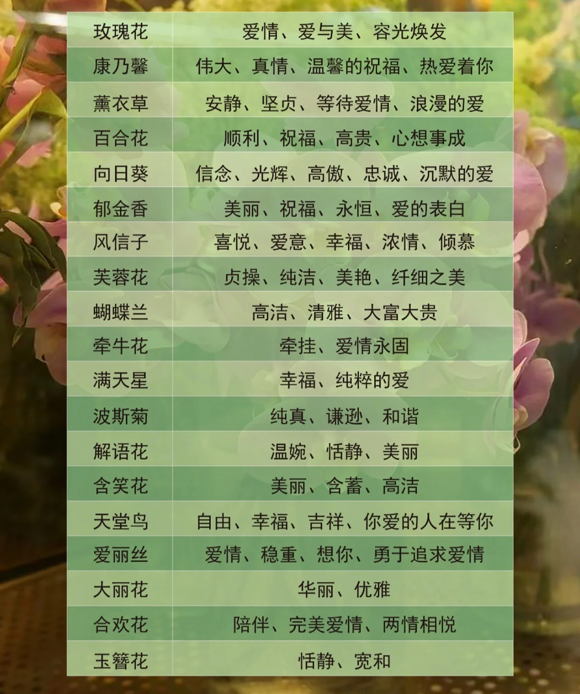 花语解码