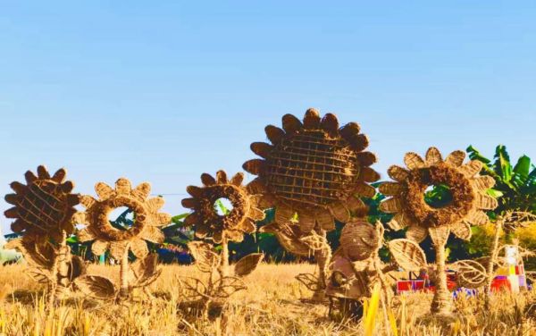 广州从化第九届校园创意稻草艺术节喊你来打卡啦!