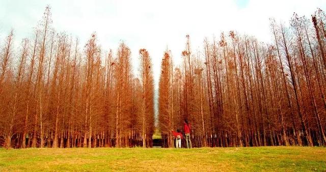 肇庆绝美“冬装”惊艳上线！错过了，就得再等一年……休闲区蓝鸢梦想 - Www.slyday.coM