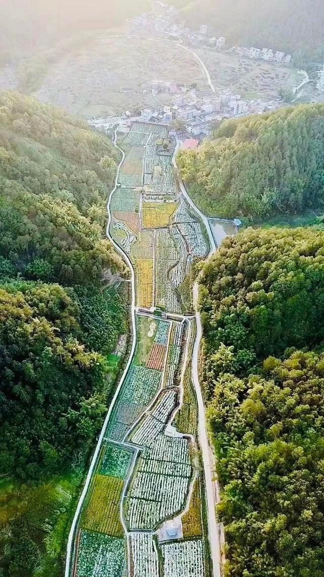 肇庆绝美“冬装”惊艳上线！错过了，就得再等一年……休闲区蓝鸢梦想 - Www.slyday.coM