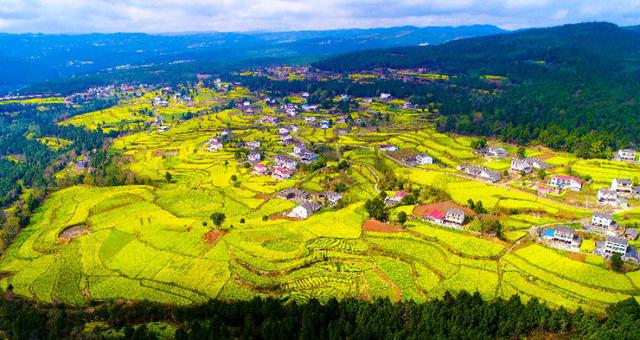 四川广元昭化区:狠抓粮油产业链 打造品牌助振兴