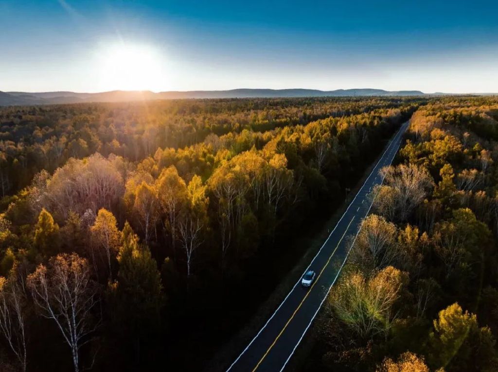 两天的护林员，奇骏是我最佳拍档休闲区蓝鸢梦想 - Www.slyday.coM