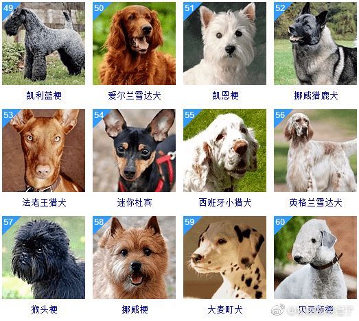 高能环境(603588)_最新价格_行情_走势图—东方财富网开元棋牌- 开元棋牌官网 - 开元棋牌APP下载