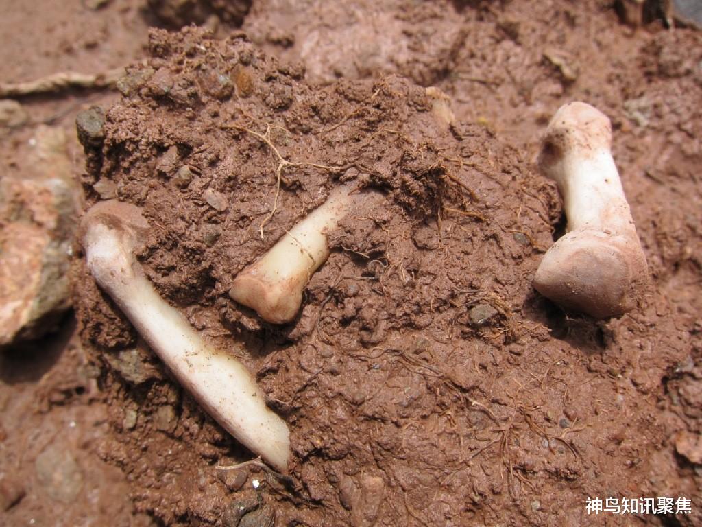 295位平民惨死，普京控诉乌克兰！俄方立案调查，美国：入侵借口休闲区蓝鸢梦想 - Www.slyday.coM