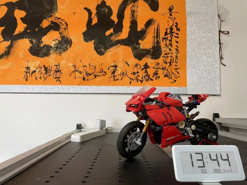 淮安宠物寄养服务寻找指南及避坑秘籍