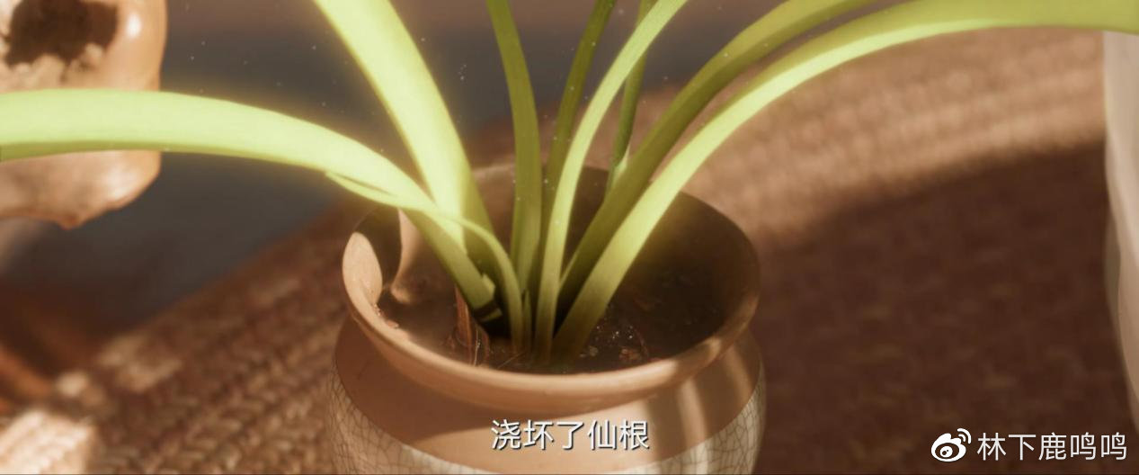 《苍兰诀》看到长珩三次放手，才懂小兰花为何移情东方青苍休闲区蓝鸢梦想 - Www.slyday.coM